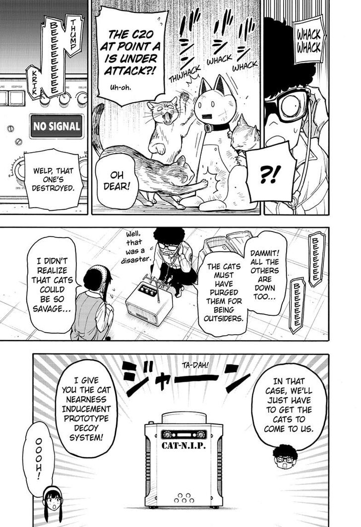 Spy x Family, Chapter 43 image 09